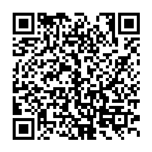 甚至也无法完全确定自己拥有的莲华之眼到底有什么样的能力……二维码生成