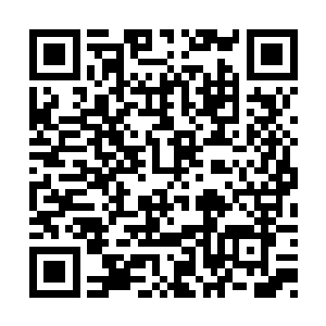 甚至于对于我们整个王家都产生了动荡性的影响二维码生成