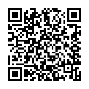 甚至于就连我们都觉得姿态这已经是一个必死之局了二维码生成