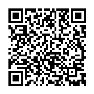 甚至于让夏家第一时间就做出来这个方面的反应二维码生成