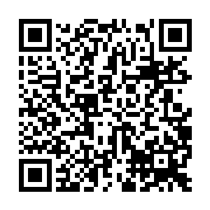 甚至于还可以与大罗金神中期高手对峙一二的能力二维码生成