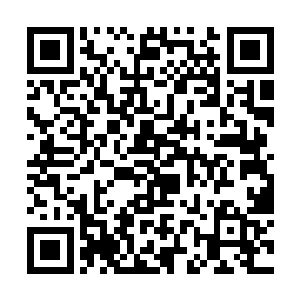 甚至于连苏博臣和苏泉两个人都没有办法看到的资料二维码生成