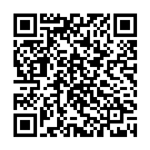 甚至于都不知道应该从他的身边借调什么样子的人手二维码生成