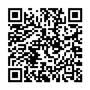 甚至从某种程度上来说比那五行圣兽的力量还要精纯二维码生成