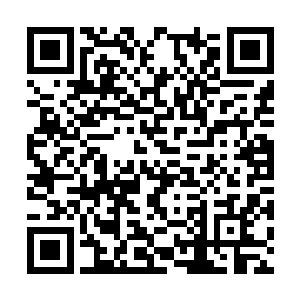 甚至他从一开始就没有得到杰西卡传输过来的资料二维码生成