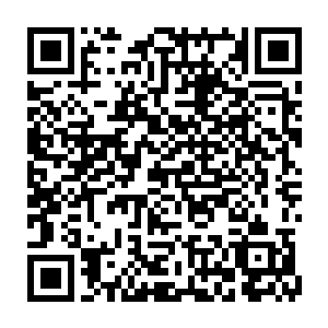 甚至他们之间的争斗比那些隐藏在暗地里的手段更加狠辣也更加更加血腥二维码生成
