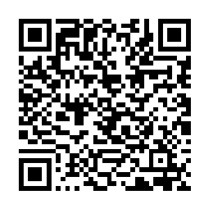 甚至他们还担心苏凡龙王等人拼死先找自己两人下手二维码生成