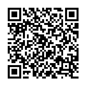 甚至他们都还带着各自的手下……这么多人围剿苏落二维码生成