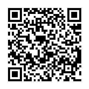 甚至他开始祈祷王世子之前没有看到直播中他说的话二维码生成