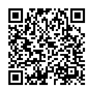 甚至令其它的能量粒子都不断退避重生之大罗金仙全文阅读二维码生成