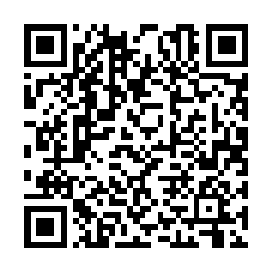 甚至其中一些事情连王世子都已经没有了太多记忆二维码生成