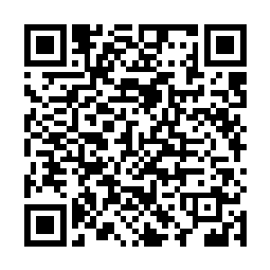 甚至出现了数百种不同光幕仪的结构图以及灵能循环图二维码生成