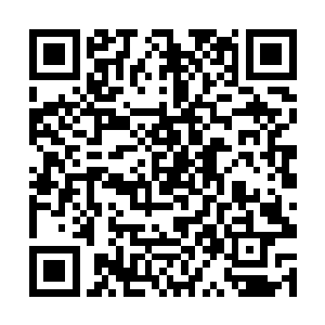 甚至卡洛儿和尤金还可以听出对方掩藏着的一丝颤抖二维码生成