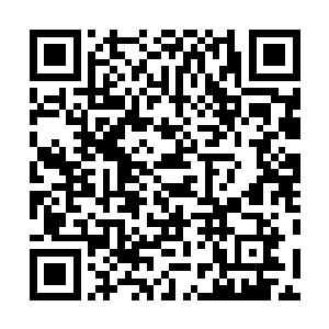 甚至原先那走廊冷若冰霜的少女也已经站在了自己的面前二维码生成