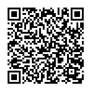 甚至口中还不太确定的嘀咕道……因为这实在是太想是进阶成功的表现了二维码生成