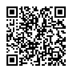 甚至只靠整个青脉所有天仙的仙天种植都是不够二维码生成