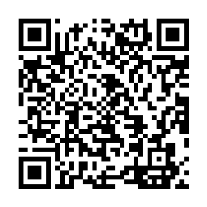 甚至可以分辨出一名血族少女飘扬飞舞发梢上的晶莹发饰二维码生成