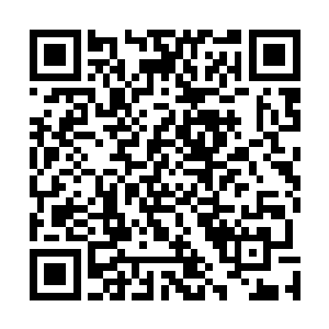 甚至可以在脑海里描绘出恩斯特写这句话时的暴躁和嫌弃二维码生成