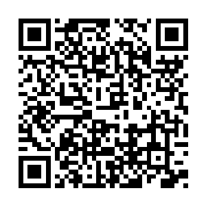 甚至可以将她从小到大的每一份思维都拓印下来二维码生成