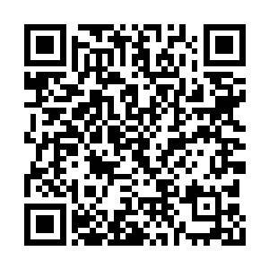 甚至可以找六趾神秘组织和阴阳家其他的学派借二维码生成