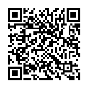 甚至可以直接说成这擂动鼓槌不仅能够获得州主赐下的法旨二维码生成