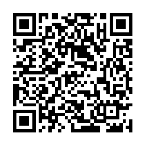 甚至可以说拿着画笔的那个人只会简单的画画技巧二维码生成