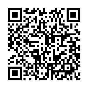 甚至可能会是离阳江湖最显赫门派里的一流俊彦二维码生成