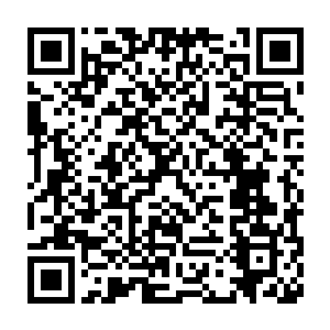 甚至可能用不了两年虾蟹的捕捞业就能成为格洛斯特渔港最大的收入二维码生成