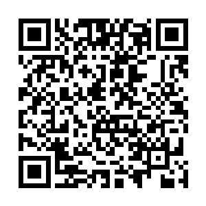 甚至可能还要更小一些……相貌只能算是比较普通的那种二维码生成