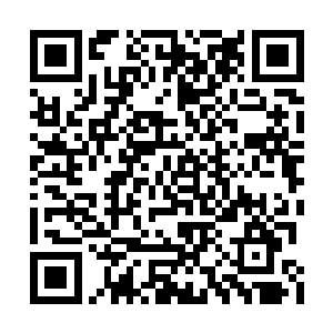 甚至叶秋现在都有些后悔当初那么针对华云龙了二维码生成