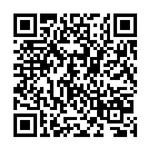 甚至吉姆的手下都开始怀疑起马里奥是不是就是美国电影二维码生成