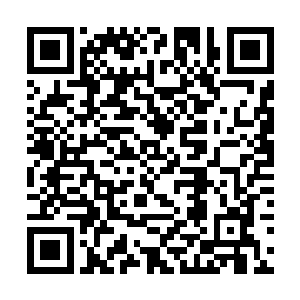 甚至哥哥和他的伙伴们还教过她宇宙战甲的使用方法二维码生成