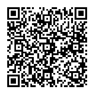 甚至因为消化系统的问题没有彻底消化吸收而浪费的食物中所蕴含的能量也算一个二维码生成