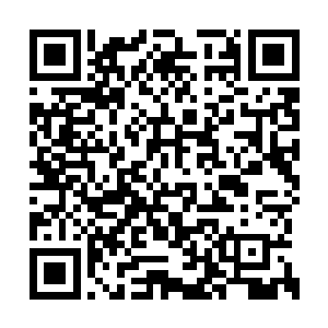 甚至在很多方面的领悟能力是普通人难以理解的二维码生成