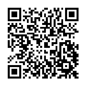 甚至在王铮取得了比较好的成绩也不是很在意的根基都在于二维码生成