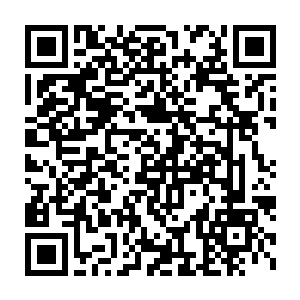 甚至在苏凡消失的第二年阿米就带着穆依烟回到华夏一起过了个年二维码生成