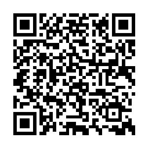 甚至在虚拟空间的红尘俗世中修炼了三千次轮回二维码生成
