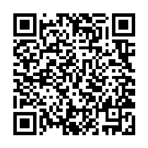 甚至在这房间中还开着一扇窗子可以看到外面的世界二维码生成