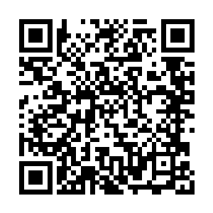 甚至在那脸颊之上都多出了一道血肉翻卷的伤口二维码生成