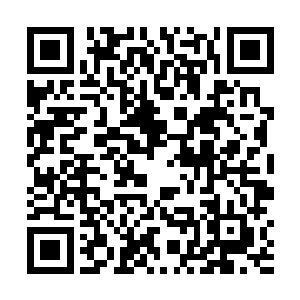 甚至堪称镇教之宝和封神至宝的强大法宝也是冲天而起二维码生成