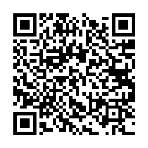 甚至墨家军中大部分人都是有亲朋故旧还在大楚的二维码生成