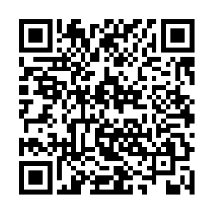 甚至她都怀疑起他们之前那所谓的打架是不是故意演的~二维码生成