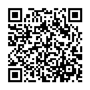 甚至它的那一颗硕大的脑袋都已经从窟窿里伸出来了二维码生成