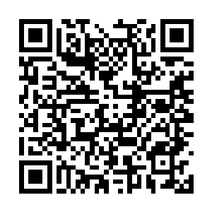 甚至完全有能力成为七界圣府未来的门面担当之一二维码生成