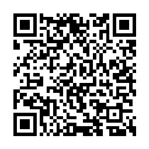 甚至对于姜鸣这种贪生怕死的行为感到很是唾弃二维码生成