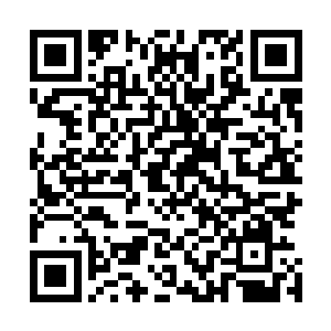 甚至对魏崇和周凉这样的天仙而言却是一笔大财富和好东西二维码生成
