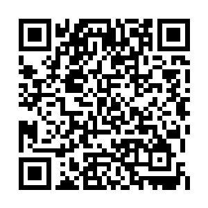 甚至将聚满了死光的枪口对准宋不归和他的长子二维码生成