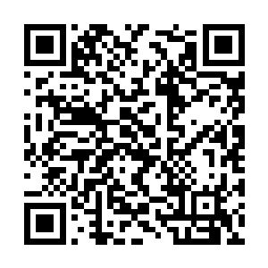 甚至将自己的力量和生命都源源不断输入他的体内二维码生成