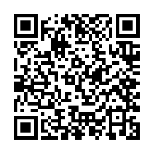 甚至就是天虚境界的修士遇上了也不会愿意和其动手二维码生成