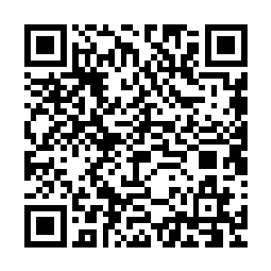 甚至就是眼下被五阁的长老们客气对待的宿狸也是被比了下去二维码生成